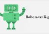 Robots.txt là gì ? Tìm hiểu mọi thông tin về Robots.txt