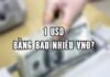 1 USD bằng bao nhiêu tiền Việt? Vì sao USD lại phổ biến như vậy