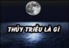 Thủy triều là gì? Ứng dụng của nó trong đời sống như thế nào