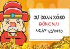 Dự đoán xổ số Đồng Nai ngày 1/3/2023 thứ 4 hôm nay