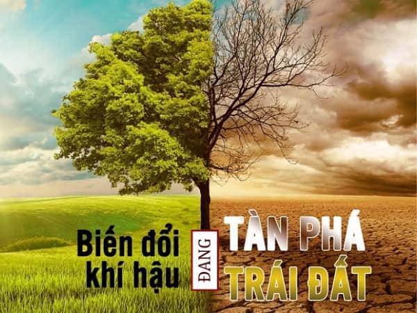 Trồng cây xanh