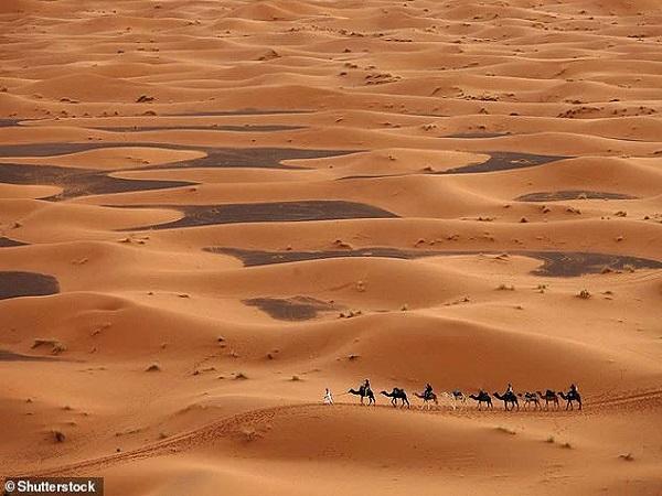 bước vào một vùng sa mạc rộng lớn - Sahara
