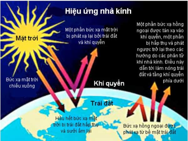 Hiệu ứng nhà kính là gì?