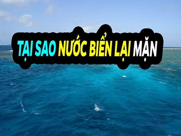 Vì sao nước biển mặn và độ muối các biển lại khác nhau?