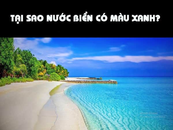 Vì sao nước biển có màu xanh?