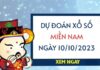 Dự đoán xổ số miền Nam ngày 10/10/2023 thứ 3 hôm nay