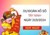 Dự đoán KQ xổ số Tây Ninh ngày 21/3/2024 thứ 5 hôm nay