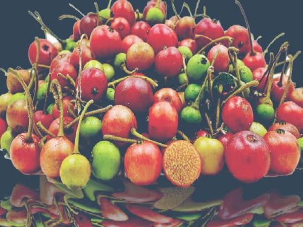 Thành phần dinh dưỡng của quả trứng cá