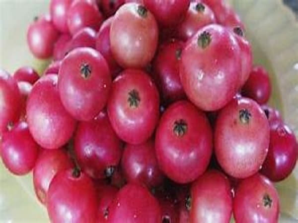 Ăn quả trứng cá có lợi hay có hại? Tìm hiểu để bảo vệ sức khỏe