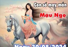 Phân tích con số may mắn tuổi Mậu Ngọ ngày 30/8/2024 thứ 6 hôm nay