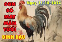 Phân tích con số may mắn tuổi Đinh Dậu ngày 11/10/2024 thứ 6 hôm nay