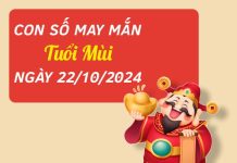 Phân tích con số dễ đón lộc tuổi Mùi hôm nay ngày 22/10/2024