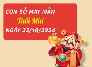 Phân tích con số dễ đón lộc tuổi Mùi hôm nay ngày 22/10/2024