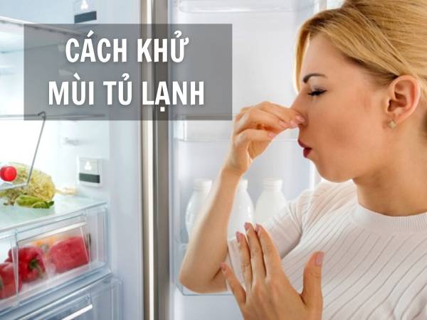 Cách làm tủ lạnh hết hôi với các mẹo đơn giản nên biết