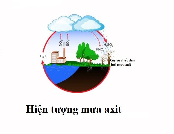 Nguyên nhân của mưa axit