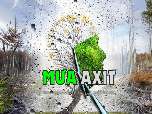 hiện tượng mưa axit là gì