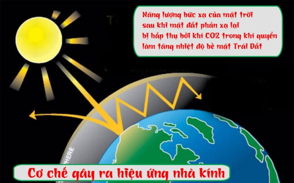 Nguyên nhân và tác động của sự gia tăng khí CO2