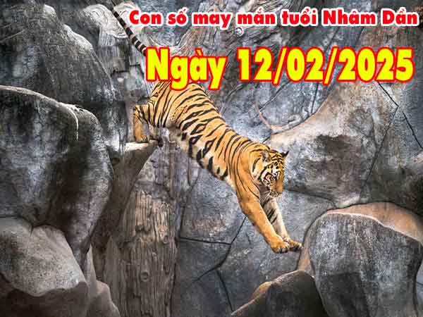 Con số may mắn tuổi Nhâm Dần ngày 10/2/2025 thứ 4 hôm nay