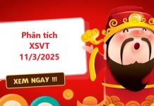 Phân tích XSVT 11/3/2025 miễn phí cùng chuyên gia