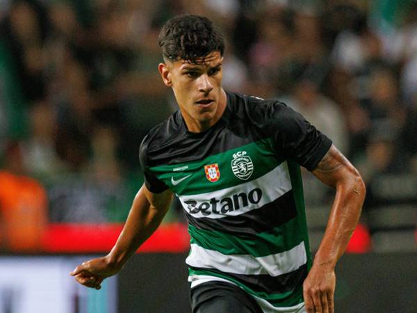 Sơ lược về sự nghiệp của Mateus Fernandes