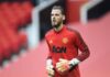 Thủ môn De Gea