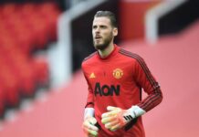Thủ môn De Gea