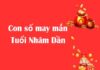 con số may mắn tuổi Nhâm Dần ngày 16/1/2026