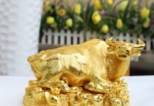 Phân tích con số may mắn tuổi Đinh Sửu ngày 1/2/2026 hút lộc