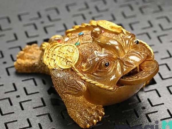 Giải mã trường hợp mơ thấy cóc vàng khác