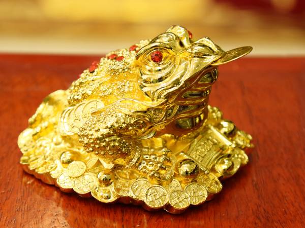 Mơ thấy cóc vàng là điềm gì, ý nghĩa chung